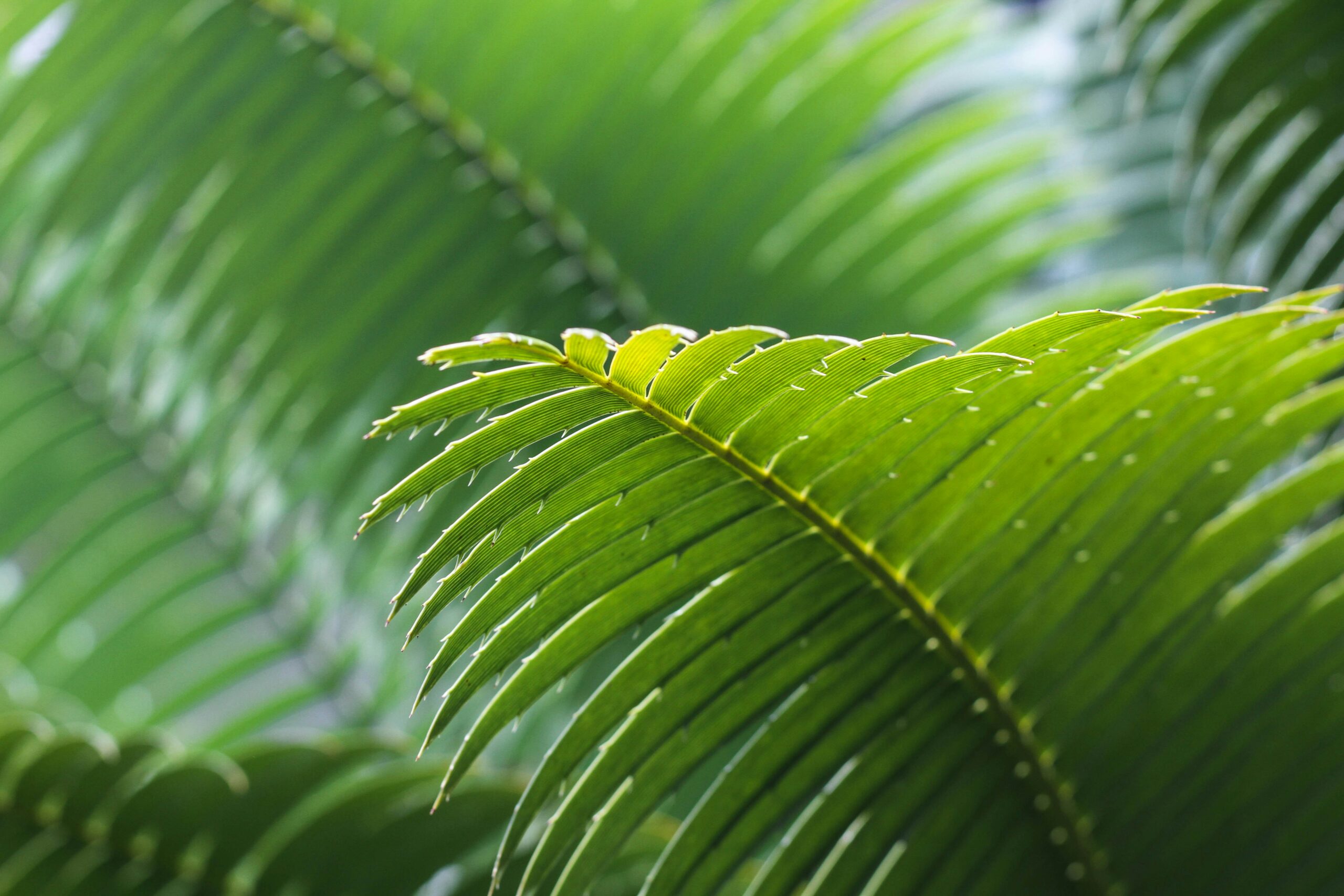 jeremy-bishop-SltlOI33APs-unsplash