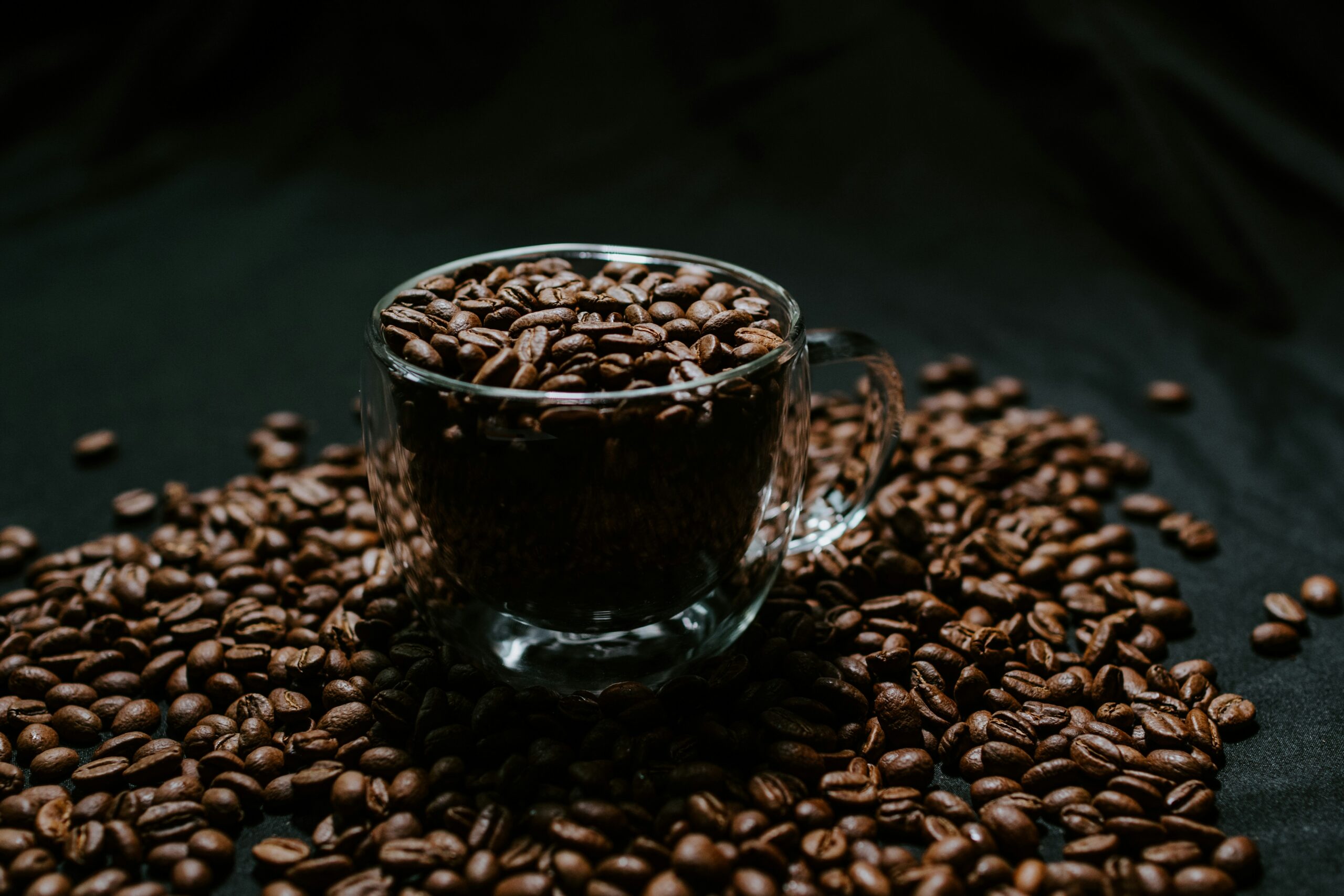 kelly-sikkema-HHXodvj4ipk-unsplash